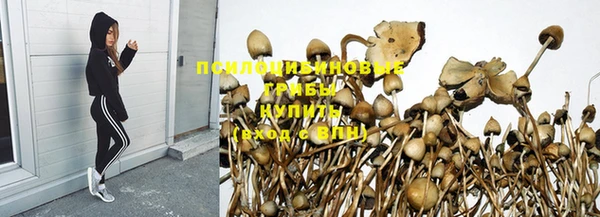 эйфоретик Инта