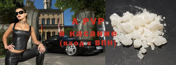 ГАЛЛЮЦИНОГЕННЫЕ ГРИБЫ Иннополис