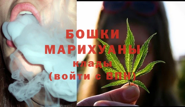 ГАЛЛЮЦИНОГЕННЫЕ ГРИБЫ Иннополис