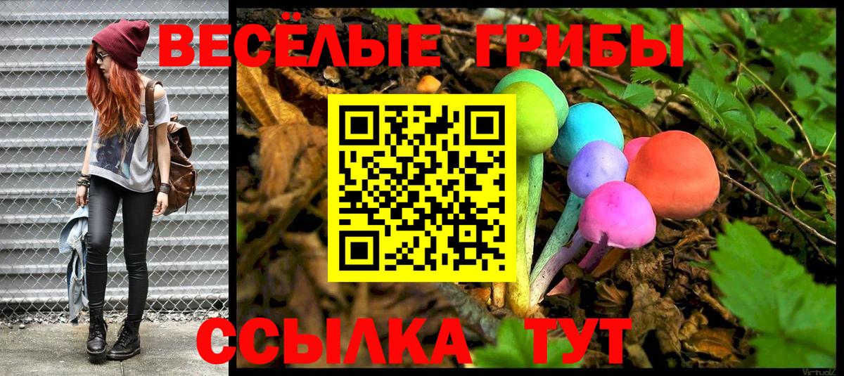 Псилоцибиновые грибы Psilocybe  Вход с VPN  Псилоцибиновые грибы Cubensis  Арзамас 